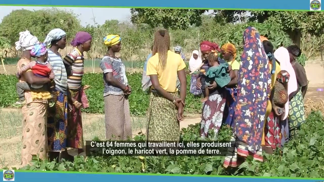 PROJET BEOGYINGA PRODUCTION MARAÎCHERE