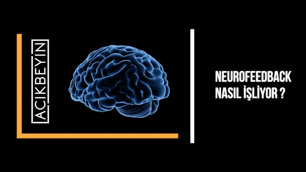 Neurofeedback Nasıl İşliyor ? | NEUROFEEDBACK | 8.B&ouml;l&uuml;m