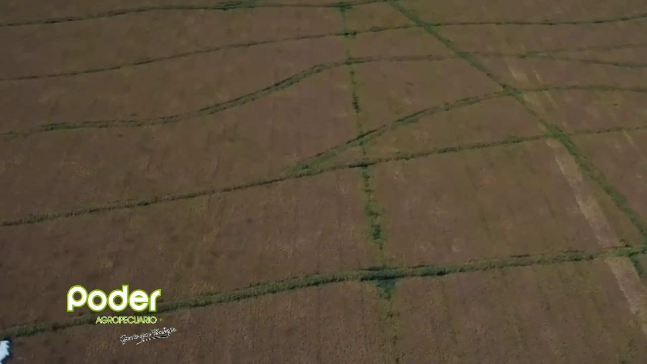 PODER AGROPECUARIO