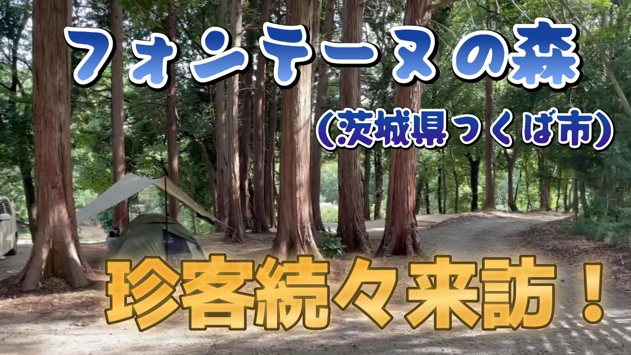 アラカンNamiのソロキャンプ【フォンテーヌの森で珍客万来のソロキャンプ】茨城県つくば市