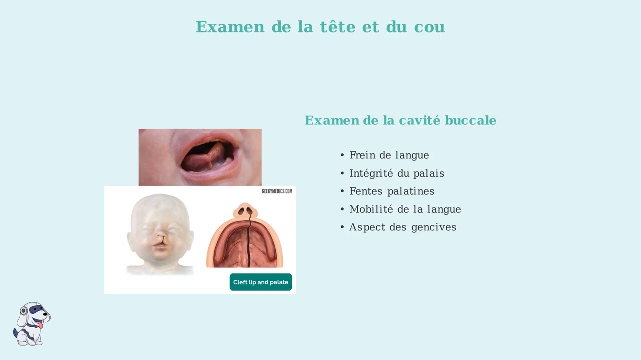 Examen clinique du nouveau n&eacute;