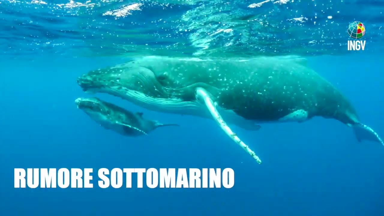 L'INGV e .... il mare