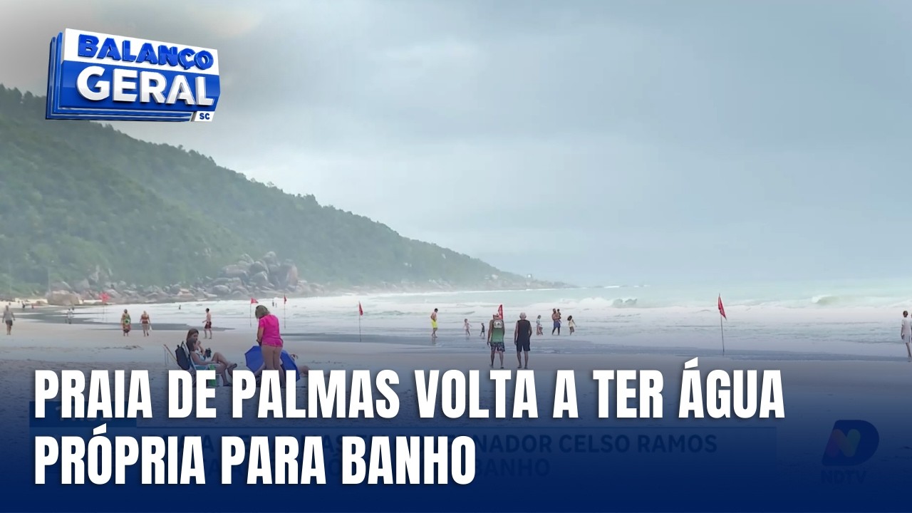 Praia de Palmas volta a ser própria para banho em Santa Catarina
