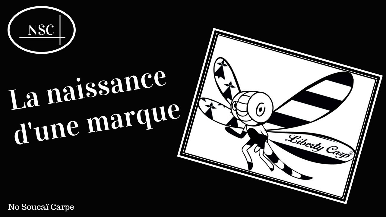 Présentation des detecteurs