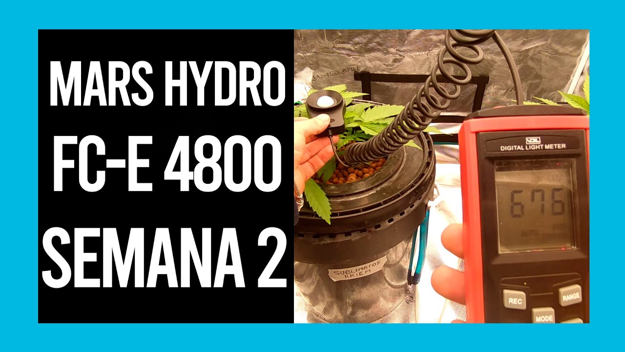 SEGUIMIENTO MARS HYDRO FC-E 4800 SEMANA 2
