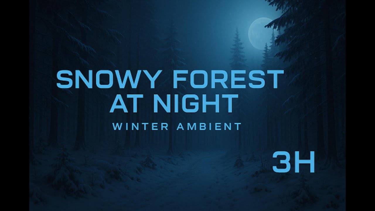 Snowy Forest at Night &mdash; Winter Ambient (3h)