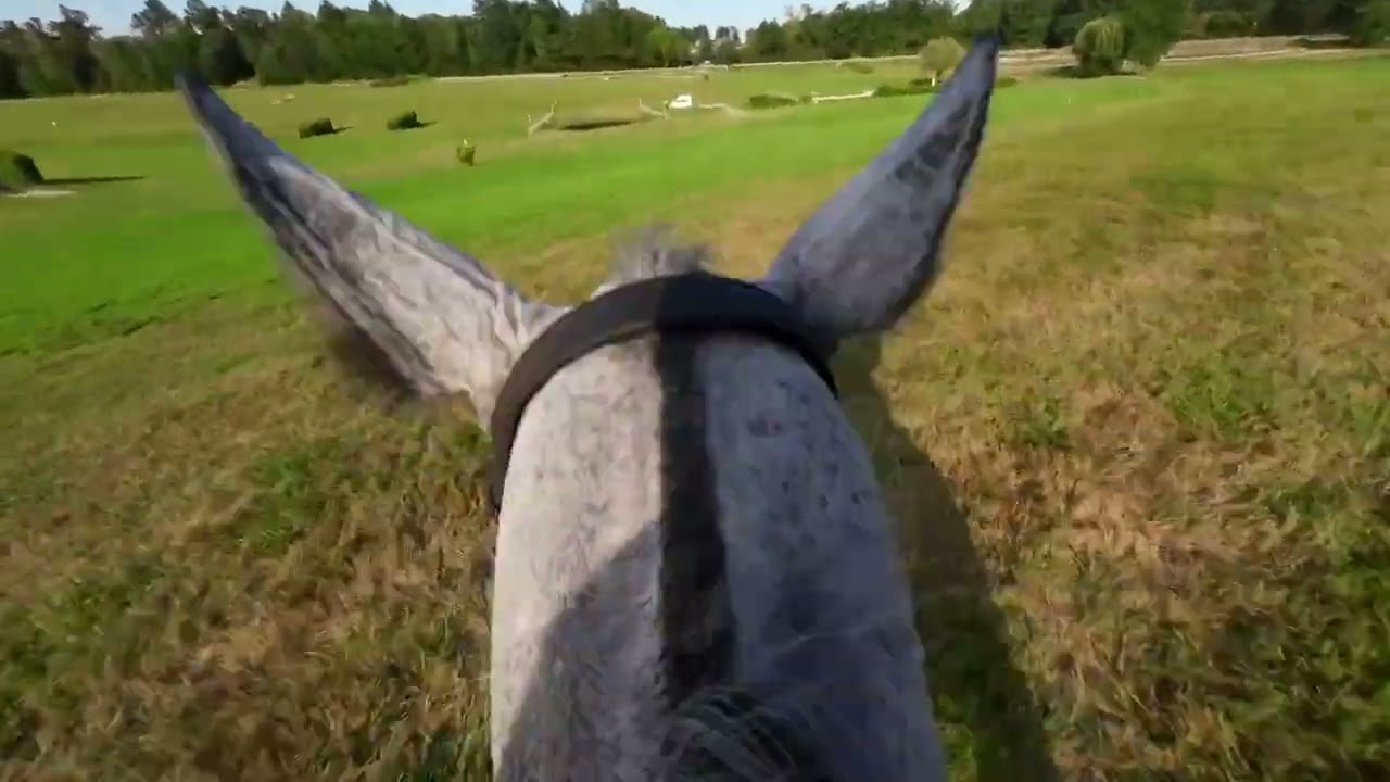 TNC Pompadour : en selle sur Born To Be A Queen & Kilian Dubourg