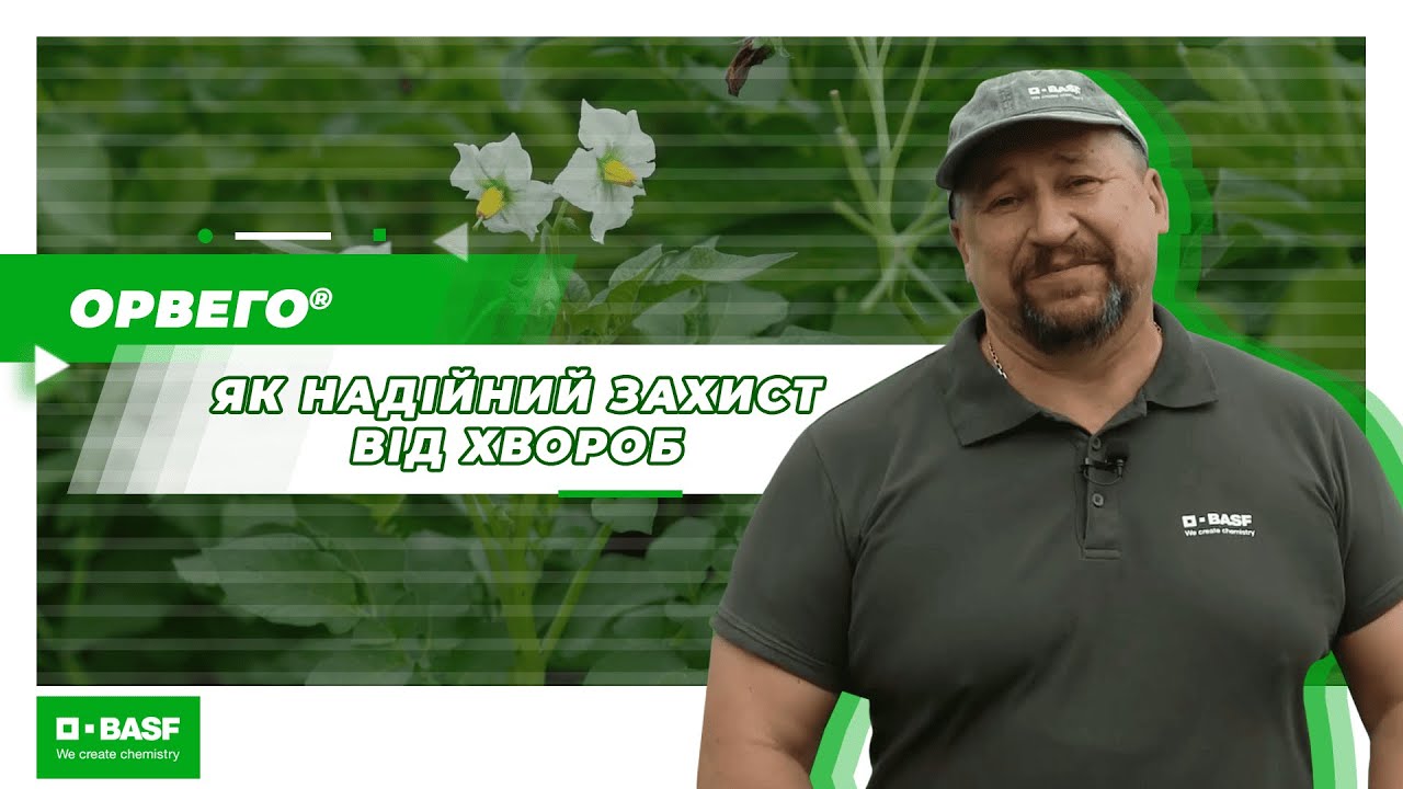 Орвего® - як надійний захист від хвороб