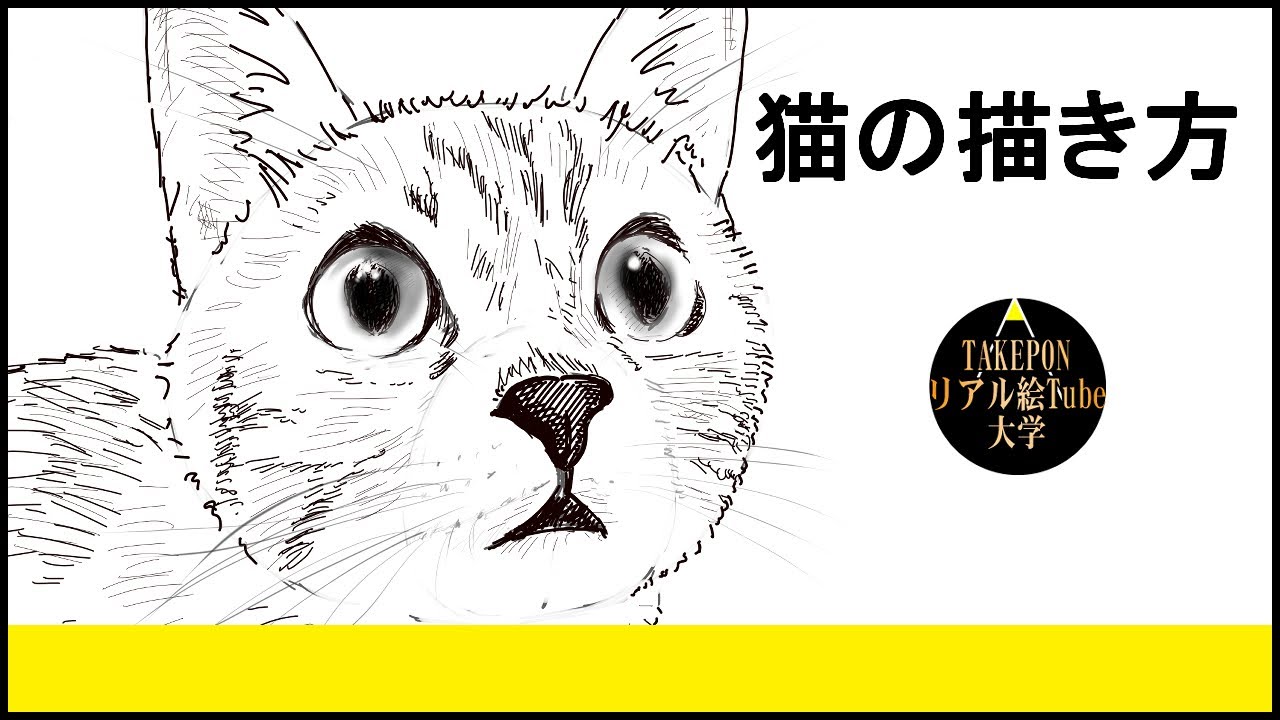 【動物の描き方】猫のリアルなイラストが誰でも簡単に上手くなる方法ー中学校の美術で使える動物スケッチの書き方のコツ