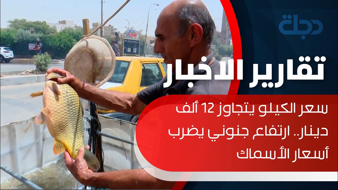 بغداد | سعر الكيلو يتجاوز 12 ألف دينار.. ارتفاع جنوني يضرب أسعار الأسماك