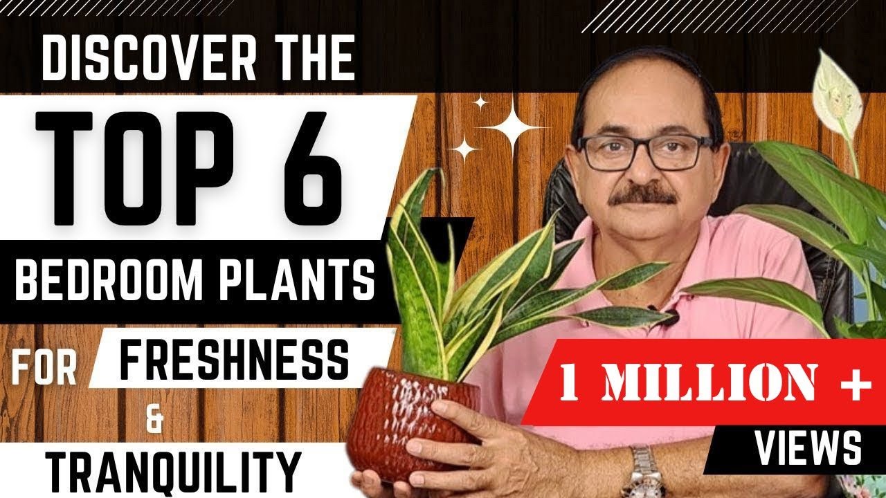टॉप 6 बेडरूम पौधे - आपके स्वस्थ्य और खुशहाल जीवन के लिए I TOP 6 BEDROOM PLANTS