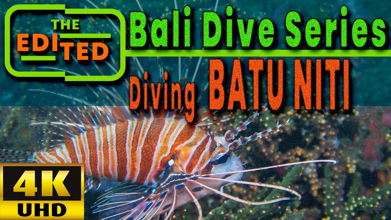 Can You Name These Fish? 30 Min Guided Dive at Batu Niti [4K Fish ID]