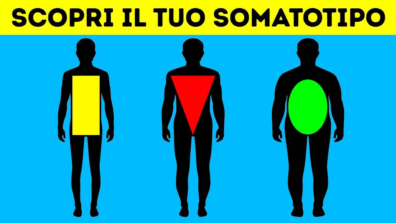 L'Allenamento Più Adatto Al Tuo Tipo Di Corpo