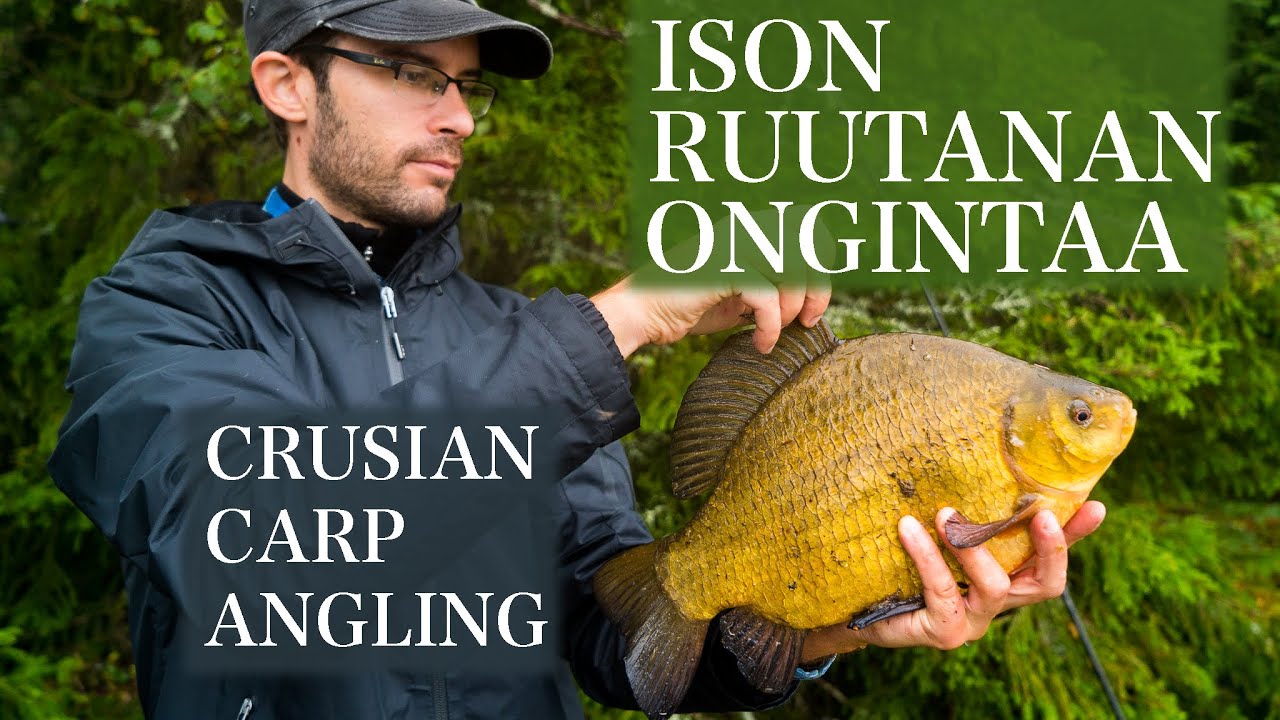 Järviemme unohdettu hahmo - ruutanan ongintaa! / Crusian carp angling