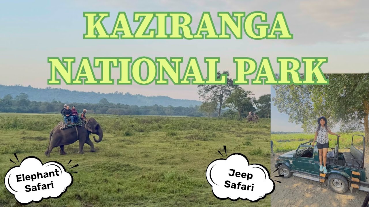 Kaziranga National Park | Elephant and Jeep Safari | Assam Cultural Program | Detailed Vlog