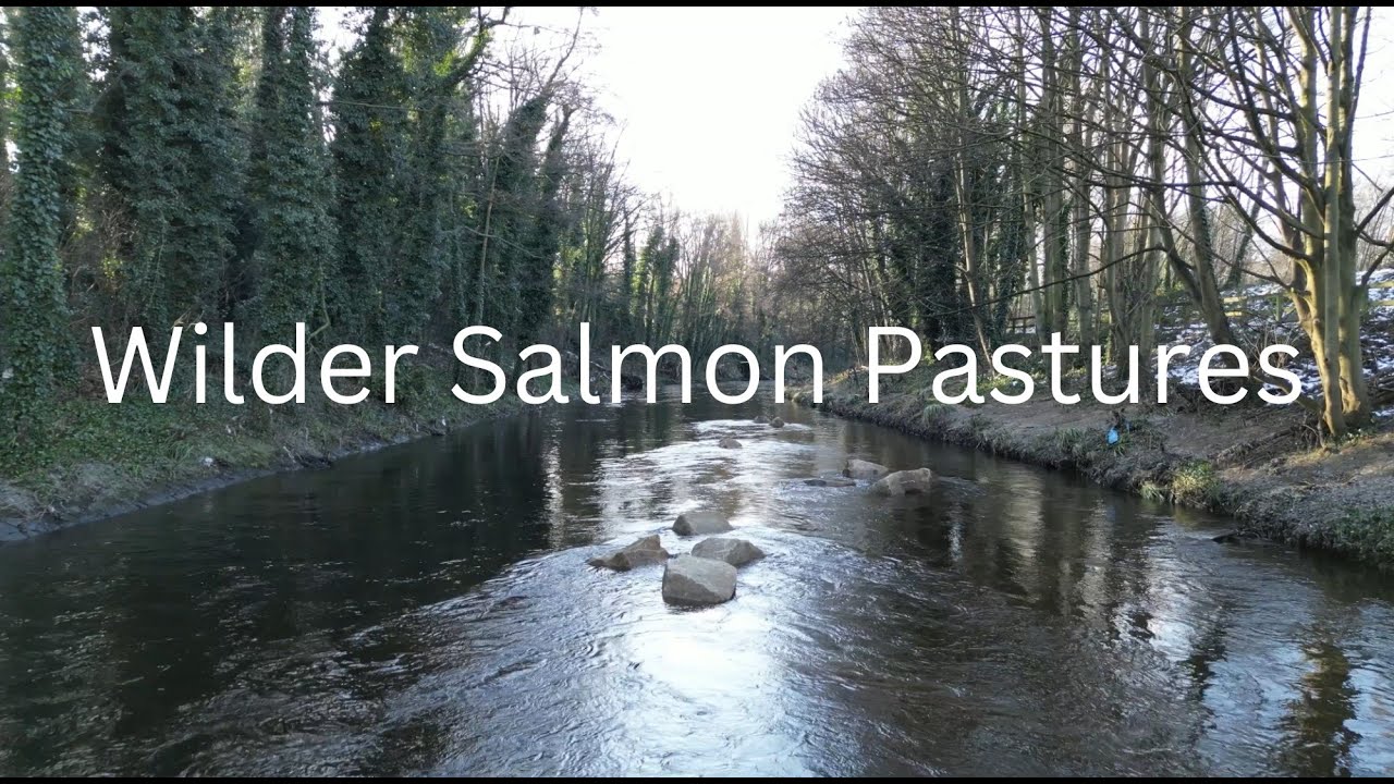 Wilder Salmon Pastures