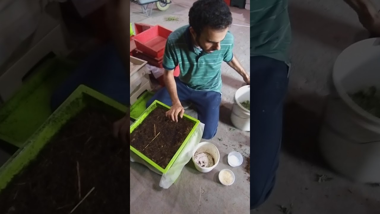 تربية و طعام دودة الأرض earthworm food