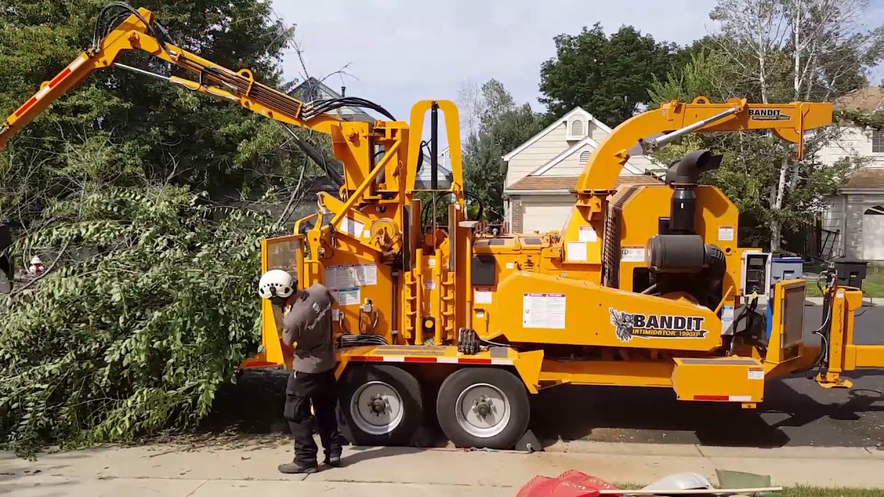 Huge Chipper With Grapple Eats Dead Elm No Problem