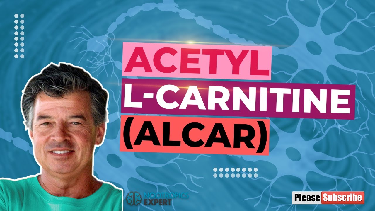Acetylo-L-karnityna (ALCAR)