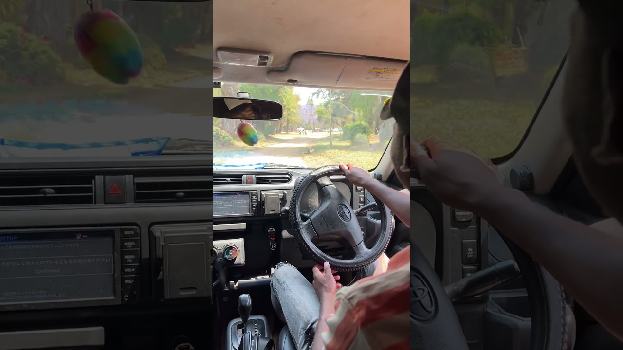 2015 Toyota Probox 1.5l petrol engine #automobile #vlog #carreview 🇿🇼