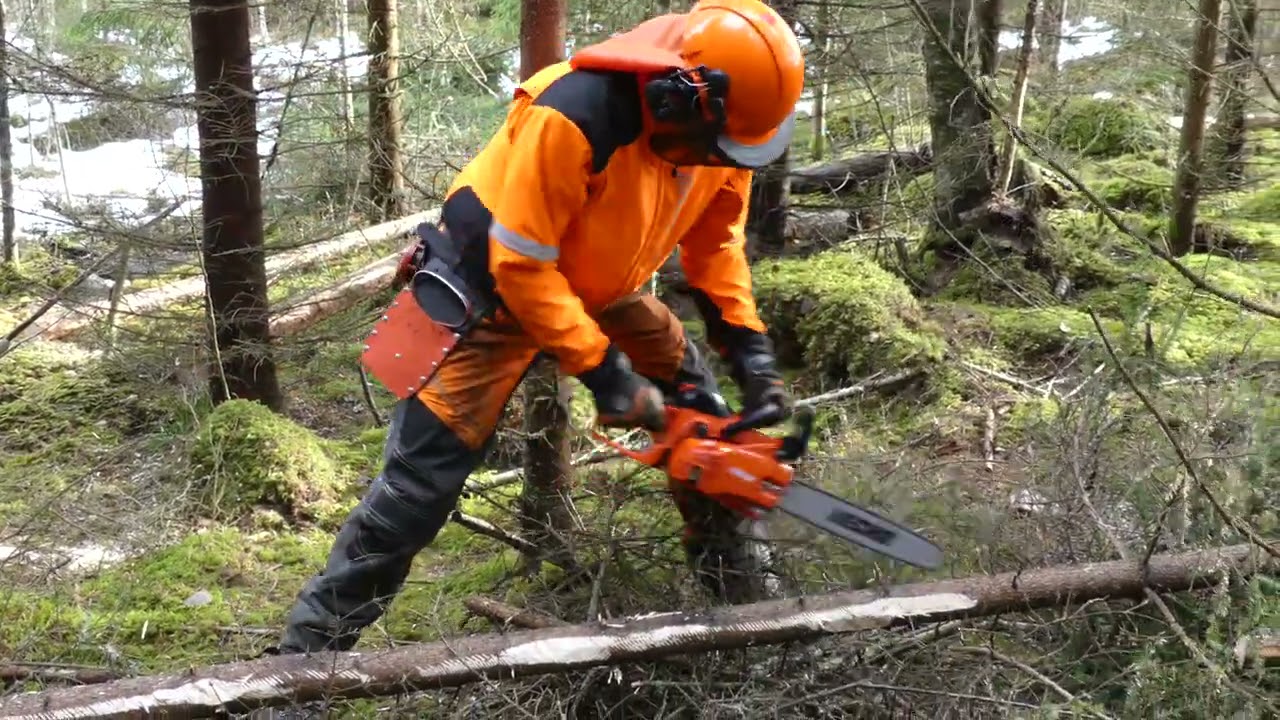 Echo CS362WES - kompakt lättviktssåg testas i klen gallring