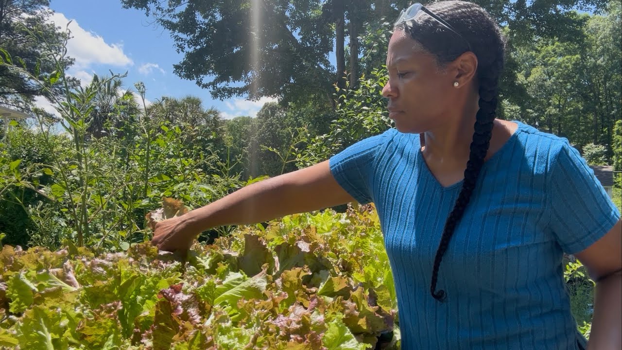 WHY I’LL NEVER STOP GROWING LETTUCE