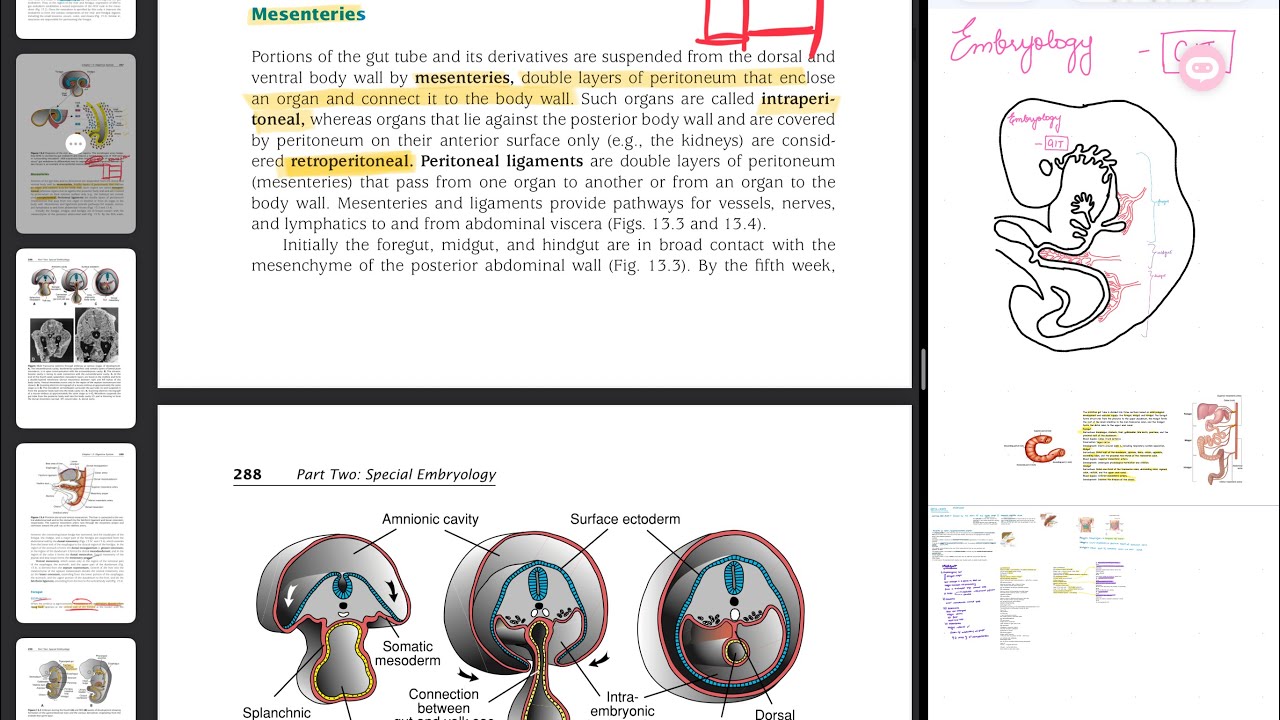 Mesentery recap