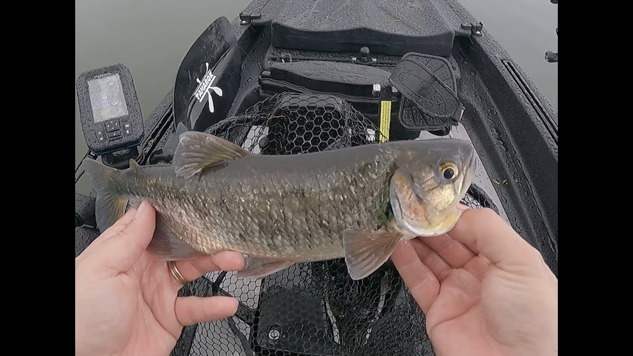 Pesca de Machacas en Lago Arenal desde Kayak