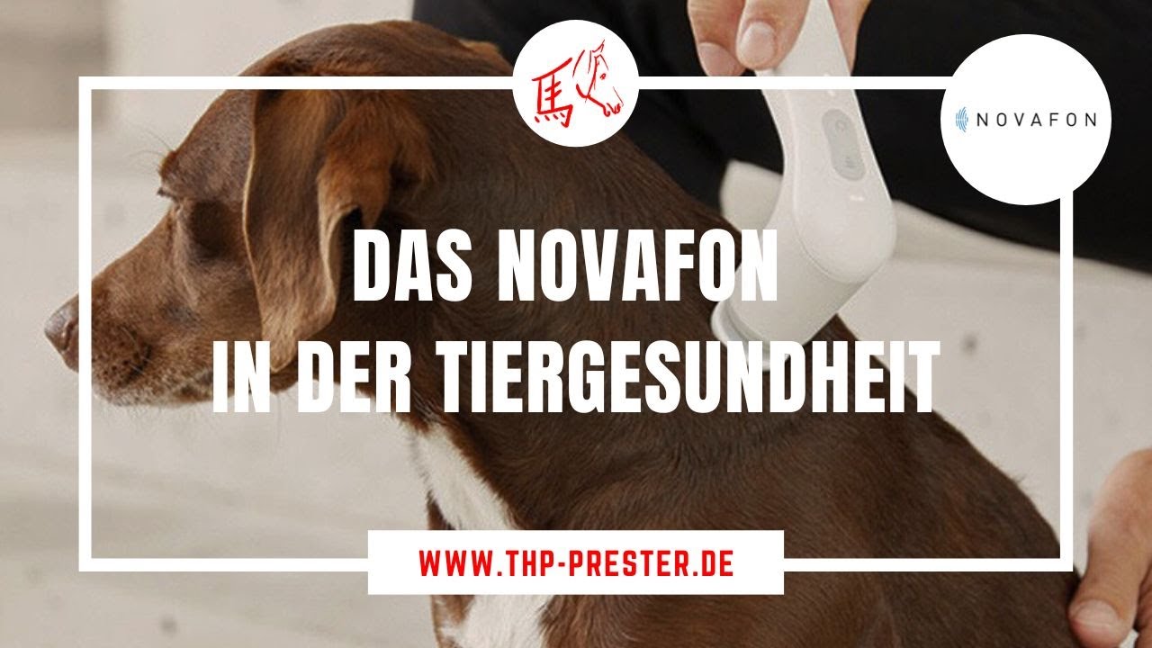 Das Novafon in der Tiergesundheit