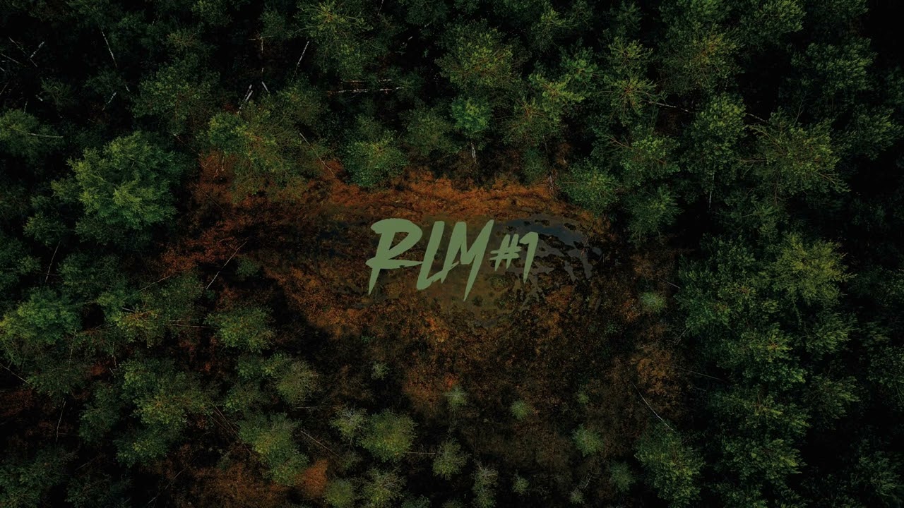 LeLoup - RLM #1 