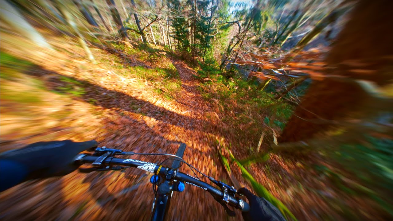 7 Minutes of Riding in Fall🍂