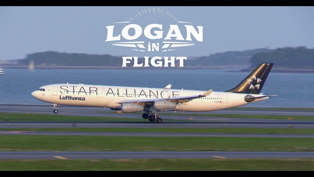 Friday Afternoon Plane Spotting at Boston Logan Airport | Takeoffs, Landings & Logan Lagoon Views