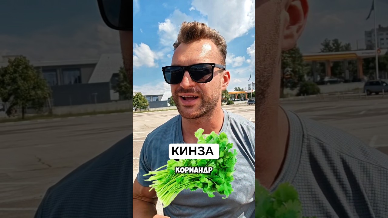 КИНЗА. ПОЛЬЗА.#кориандр #кинза #зелень #витамины #антиоксиданты