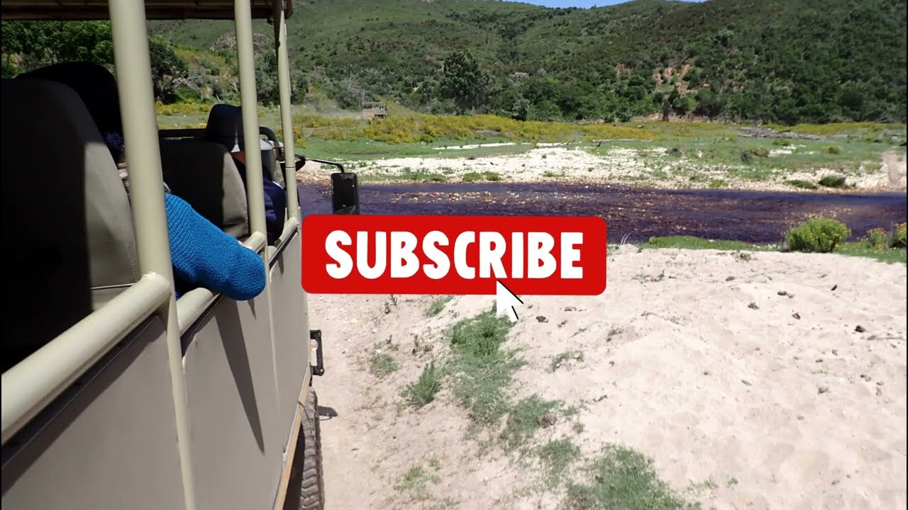 South Africa .  BOTLIERSKOP DAY SAFARIS.   Part  29.