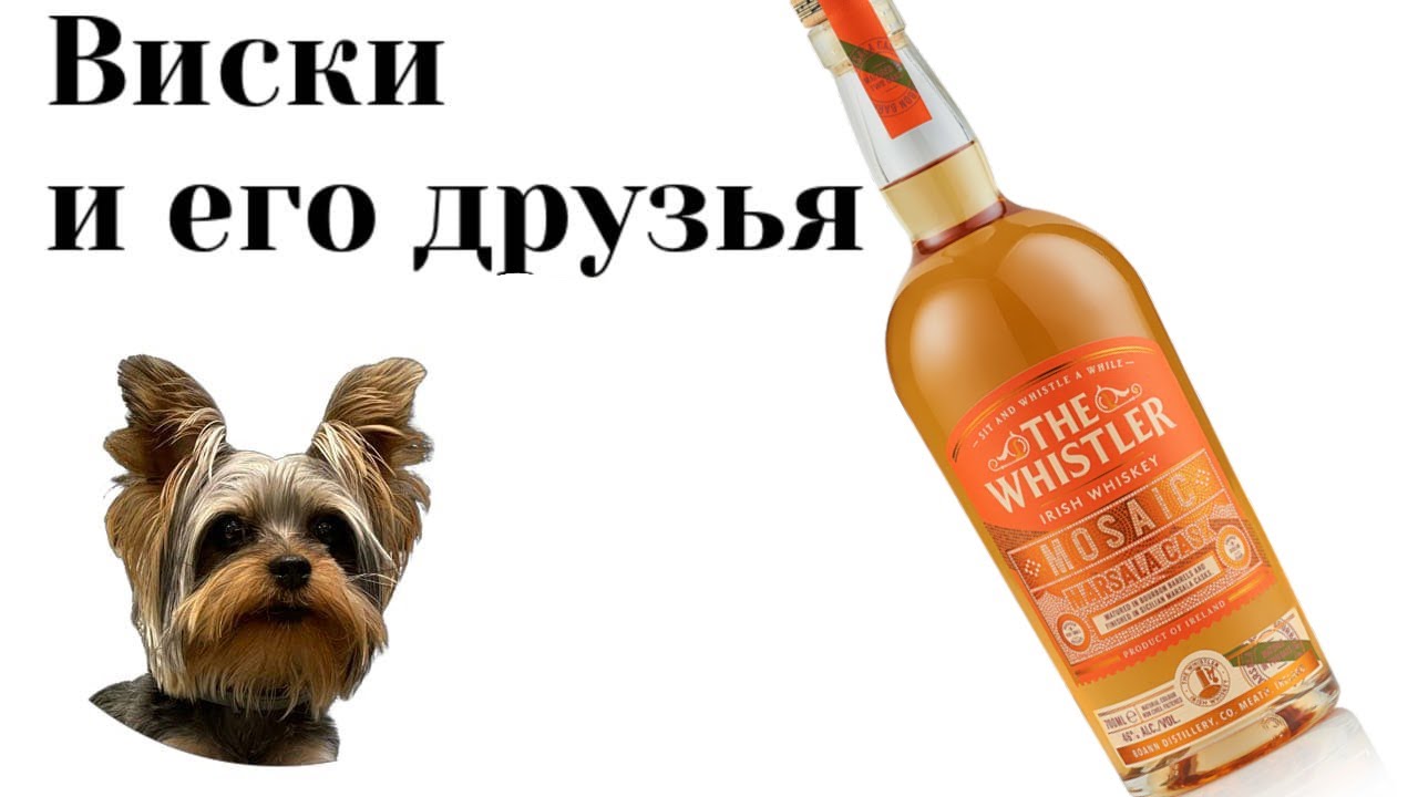 Лучший ирландский NAS виски. Дегустация The Whistler Mosaic Marsala Cask