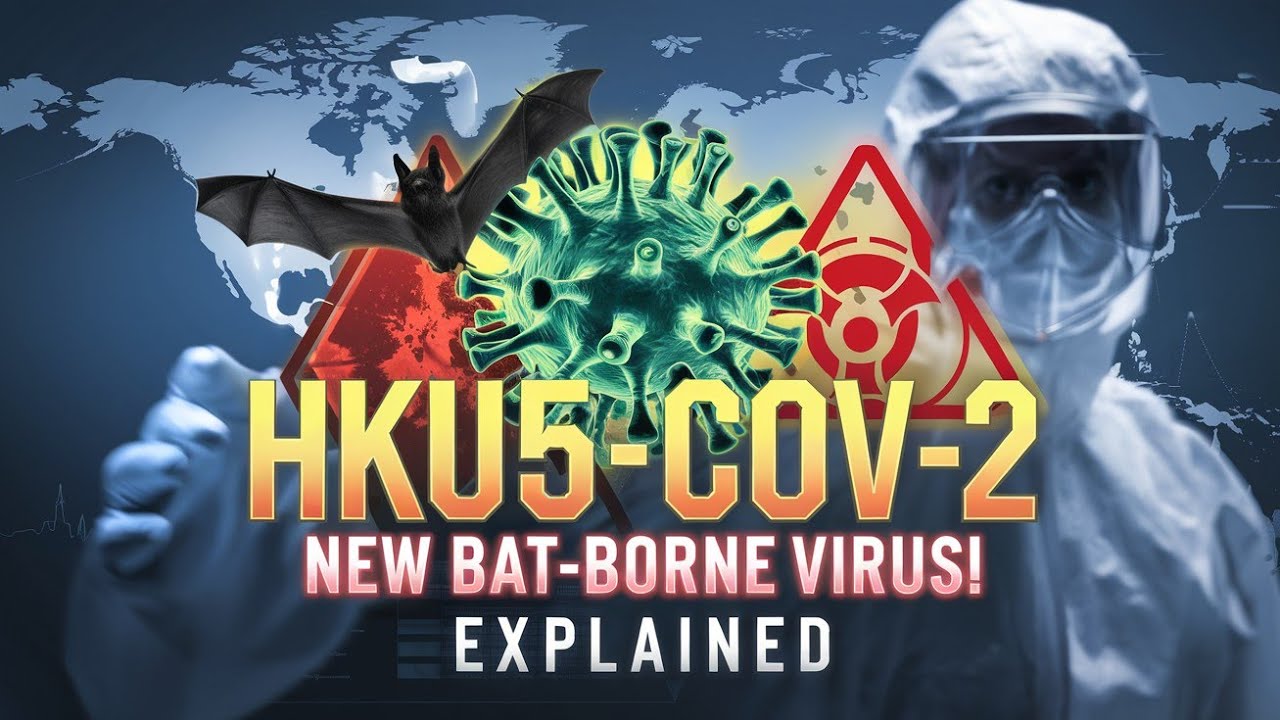 HKU5-CoV-2: The New Bat-Borne Coronavirus Explained