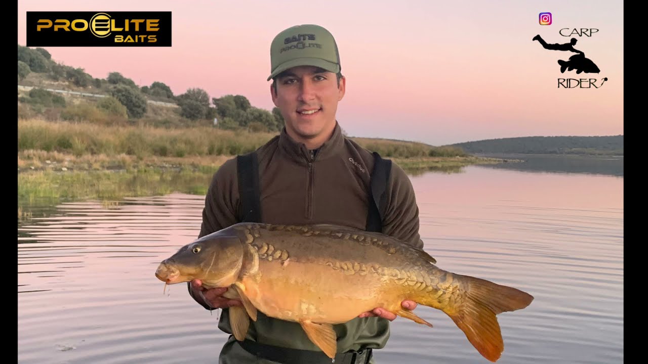 CARPFISHING SESIÓN EXPRES 