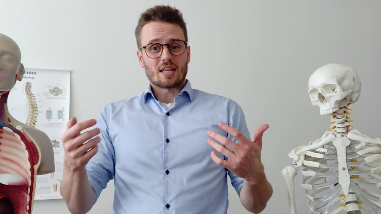Hoftebøjer, iliopsoas, ryg- og lyskesmerter/ årsager og behandling - Aarhus Osteopati og Fysioterapi