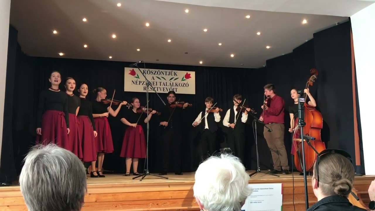 Szászcávási összeállítás ( részlet) 2025.10.11. Cziffra banda Dabas