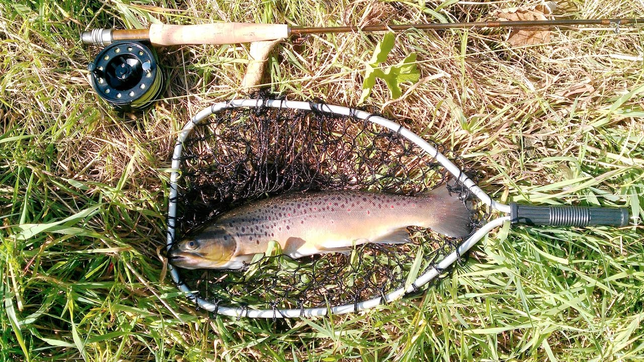 WD 40 - Great BWO Baetis emerger or searching pattern that many guides use