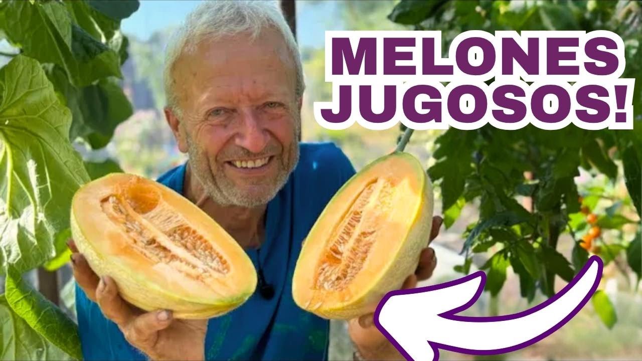Jardinería en julio: Asociación de cultivos, riego a mano y papas sin rotación