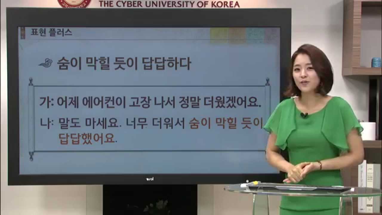 [바른 한국어 4급] 6. 바늘로 콕콕 찌르는 것처럼 아파요.