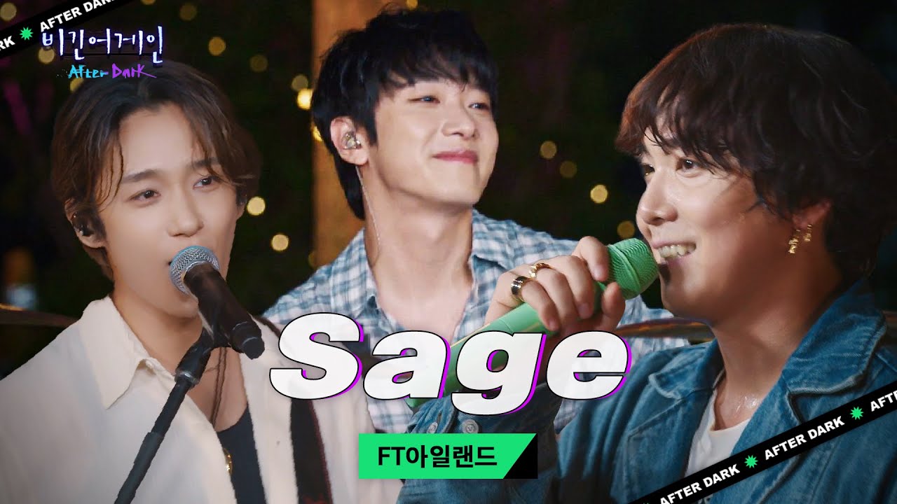 자유로운 분위기 속 FT아일랜드와 즐기는 한여름 밤 페스티벌✨ 'Sage'♬｜비긴어게인 애프터다크