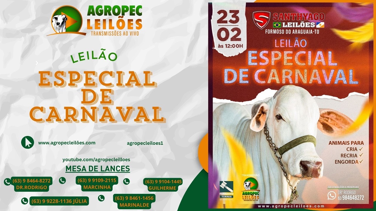 Agropecleiloes | LEIL&Atilde;O ESPECIAL DE CARNAVAL | SANTHYAGO LEIL&Otilde;ES |FORMOSO DO ARAGUAIA-TO | 23/02/26