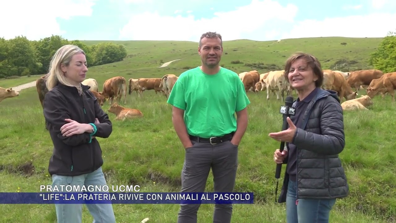 Pratomagno UCMC progetto Life nuova vita alle praterie con i pascoli