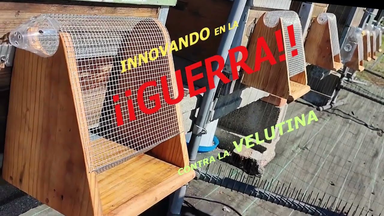 MEJORADA