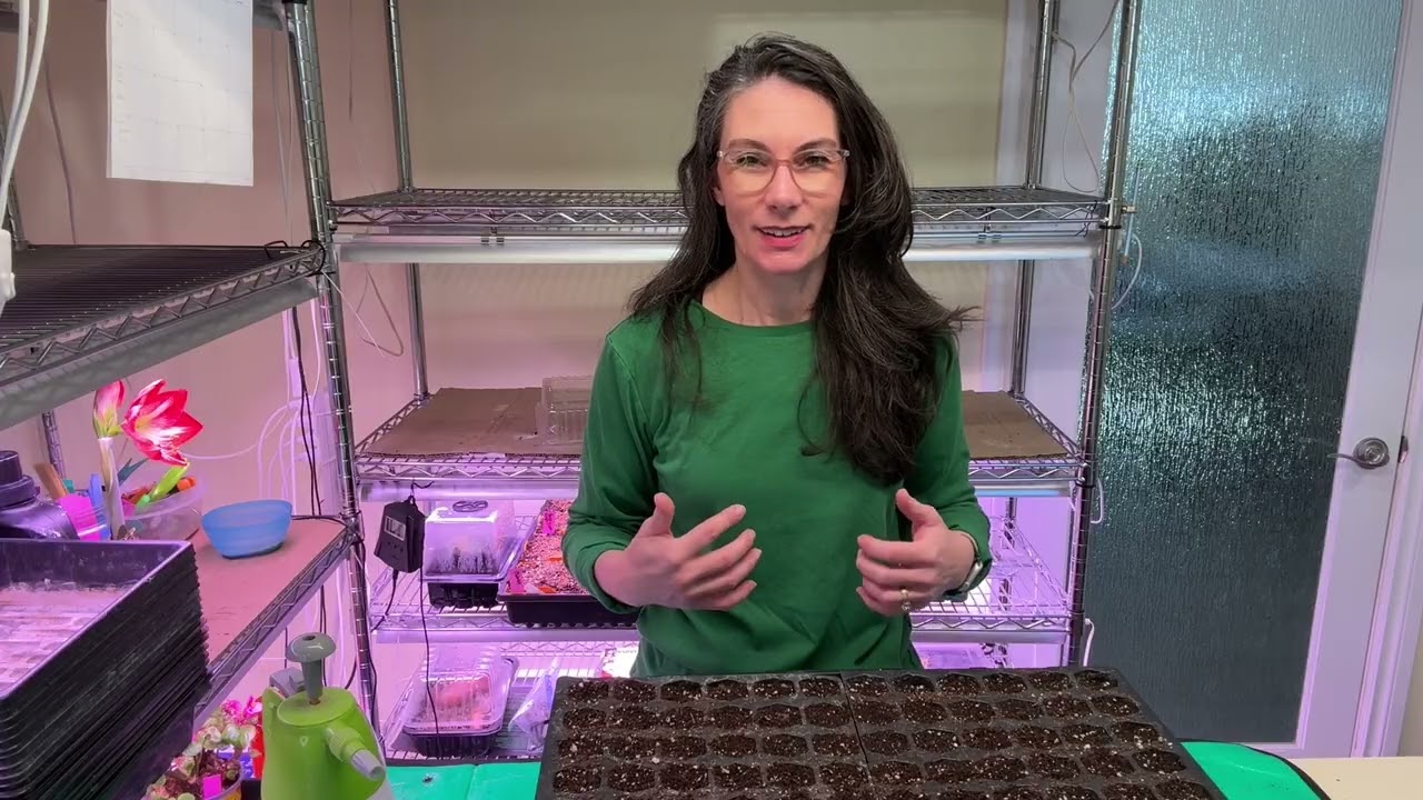Grow Room Update and Starting Lobelia from Seed