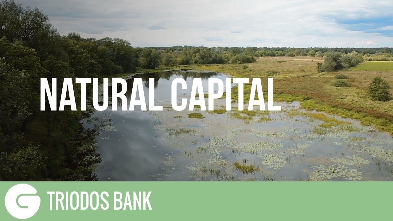 What Is Natural Capital?