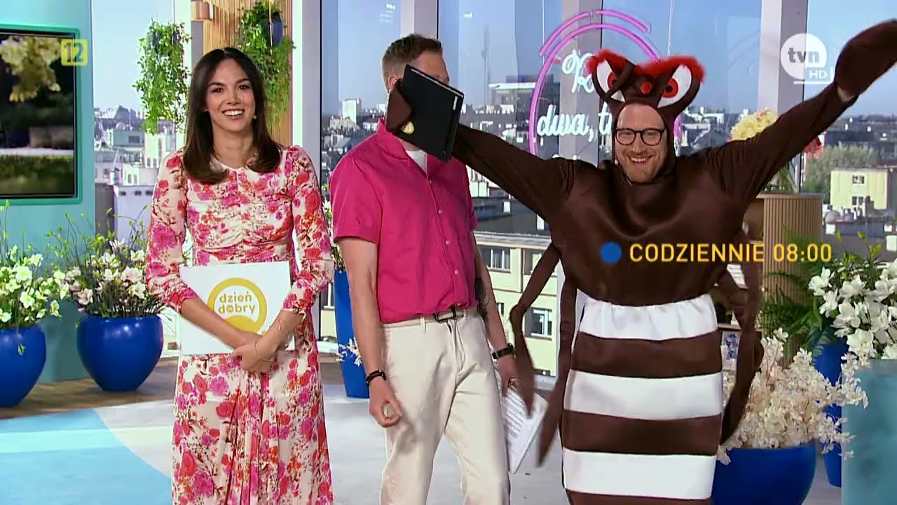 Co ciekawego w Dzień Dobry TVN w czerwcu? ☀️