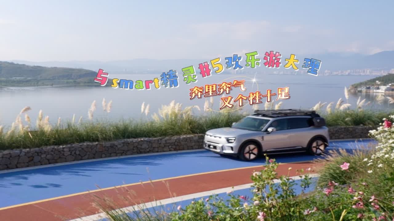 奔里奔气又个性十足 开着smart精灵5欢乐游大理
